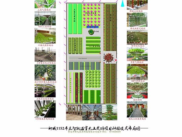 聊城11152平米智能溫室無土栽培設(shè)計(jì)方案