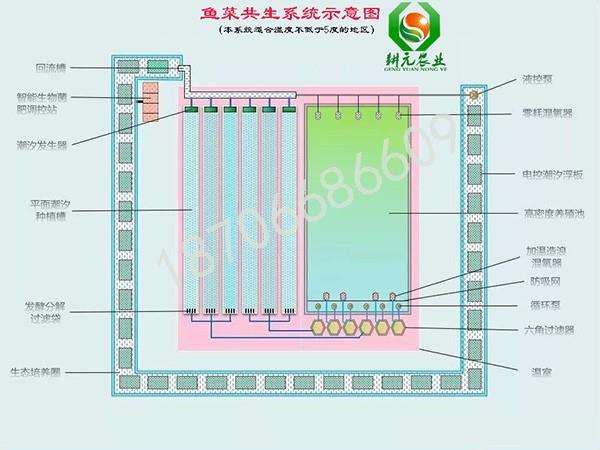 耕元魚菜共生系統(tǒng)設(shè)計圖