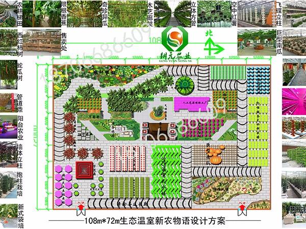 7776平米溫室無土栽培設(shè)計(jì)方案